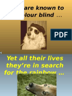 Dogs Are Known To Be Colour Blind