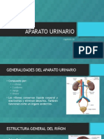 Aparato Renal