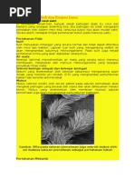 Download Respon Imun by Muhammad Agung W SN267161902 doc pdf