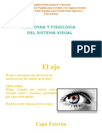 Anatomia y fisiologia vision