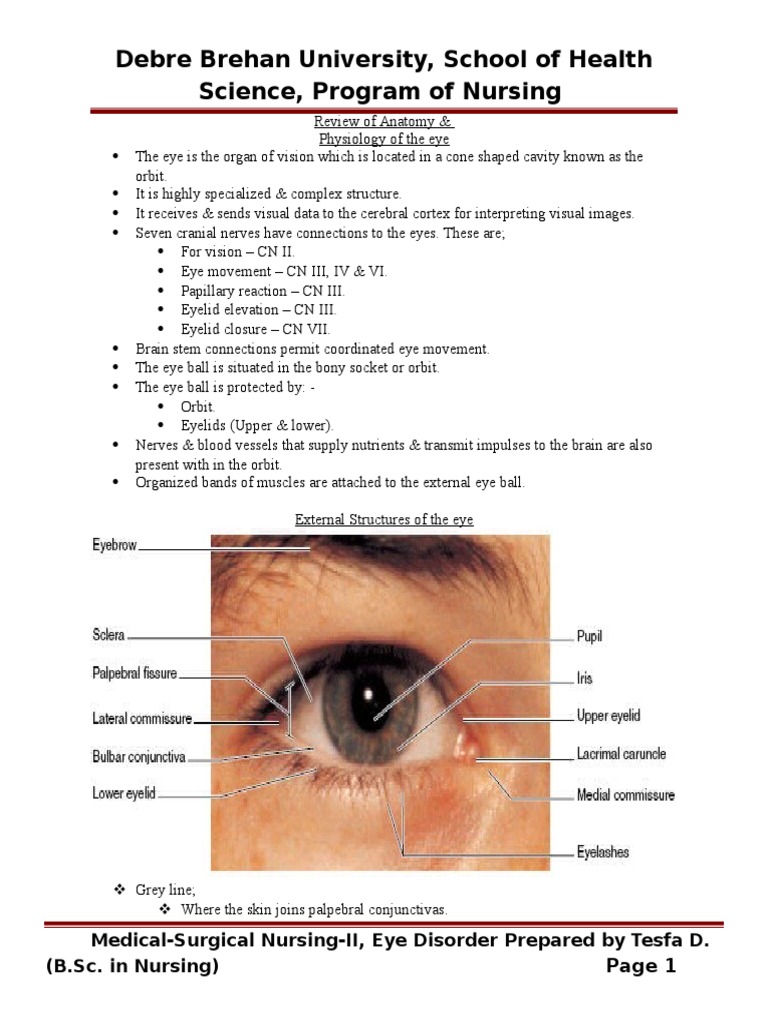 Eye Disorder..doc Human Eye