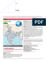 India_FICHA PAIS.pdf