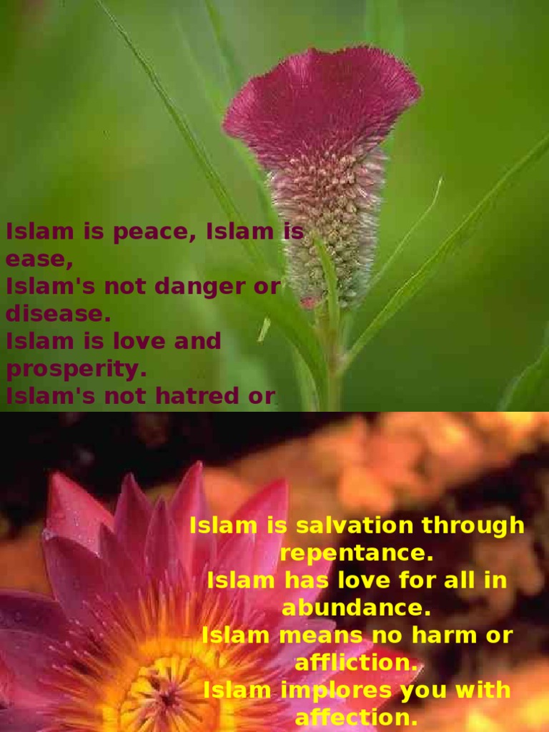 What Is Islam | PDF
