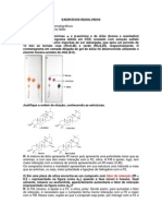 Exercicios Resolvidos - Cromatografia