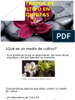 Medios y Sustratos de Cultivo en Orquídeas
