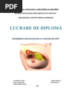 licenta-2015