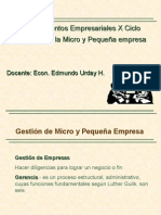 Gestión de Micro y Pequeña Empresa