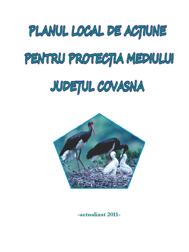 Plam 2011