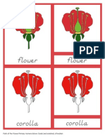 Parts of The Flower Primary Nomenclature Cards (Red Isolation) D'nealian