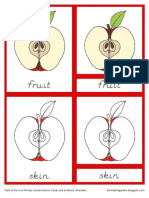 Parts of The Fruit Primary Nomenclature Cards (Red Isolation) D'nealian