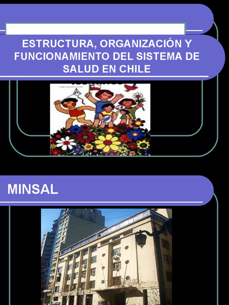 Estructura, Organización y Funcionamiento Del Sistema de Salud | PDF ...