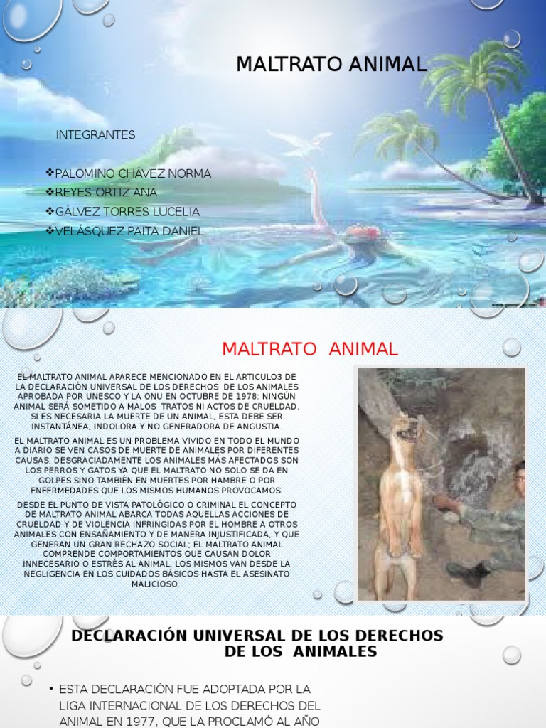 Diapositivas Del Maltrato Animal PDF Crueldad