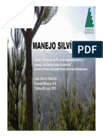 Manejo Silvicola Forestal Mininco Chillan Araucania