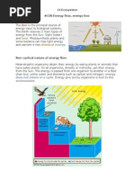 Finally! The Complete Ecological Pyramids Pogil Answer Key - r9omjk1