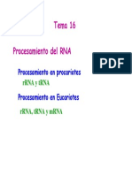 47821793-Tema-16-Procesamiento-post-transcripcional (1).pdf