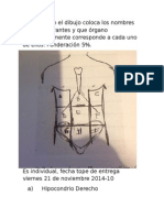 Medicina Legal Anatomia