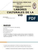 Labores Culturales de La Uva