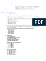 Soal GEOGRAFI