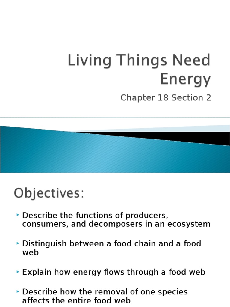 Living Things Need Energy CH 18.2 7th PDF Food  Ecosystem