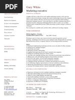 Marketing Executive CV Template Sample