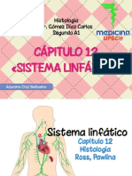 Sistemalinfatico Histologia 150509190616 Lva1 App6892