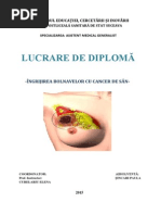 Licenta