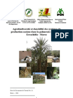 Rapport Maroc 20041