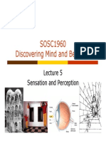 Lecture+5+Sensation+and+perception Posting