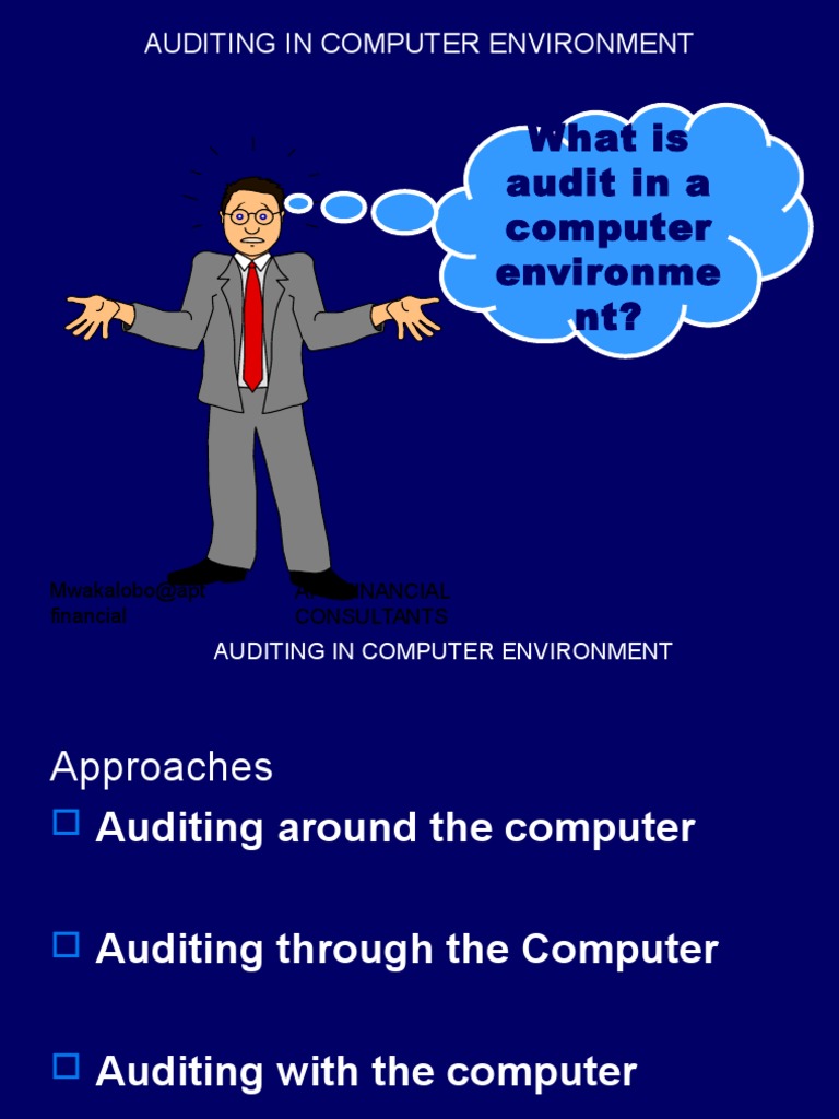Computer Audit Techniques Overview | PDF | Audit | Electronic Data ...