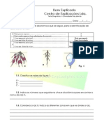 Diversidade Das Plantas - Teste Diagnóstico PDF