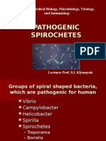 Pathogenic Spirochetes