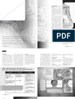 Céphalées Cervico-Dorsalgies Cervico-Brachialgies PDF