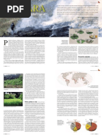 Artigo Coivara CH297-Libre