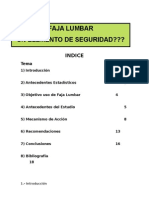 Faja Lumbar Elemento de Seguridad