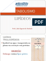Aula 7 - Metabolismo dos Lipídeos.pdf