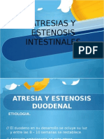 Atresia Intestinal