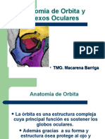 Clase 1 Orbita y Anexos Oculares