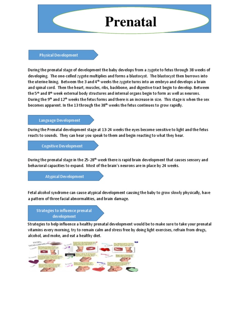 Durin Pren | PDF | Self-Improvement | Wellness
