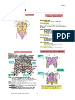 Body Wall: 03 Thorax Anatomy