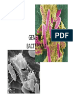 Genetica Bacteriana