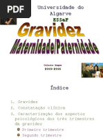 PGM 1_ Perspectiva histórica da Gravidez