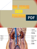 anfis-perkemihan