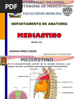 MEDIASTINO..