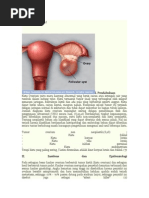 Download KISTA OVARIUM by Rini Wulandari SN267388975 doc pdf