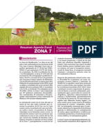 Agenda Zonal 7