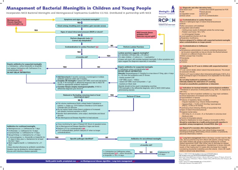 Guideline Meningitis | PDF | Meningitis | Diseases And Disorders
