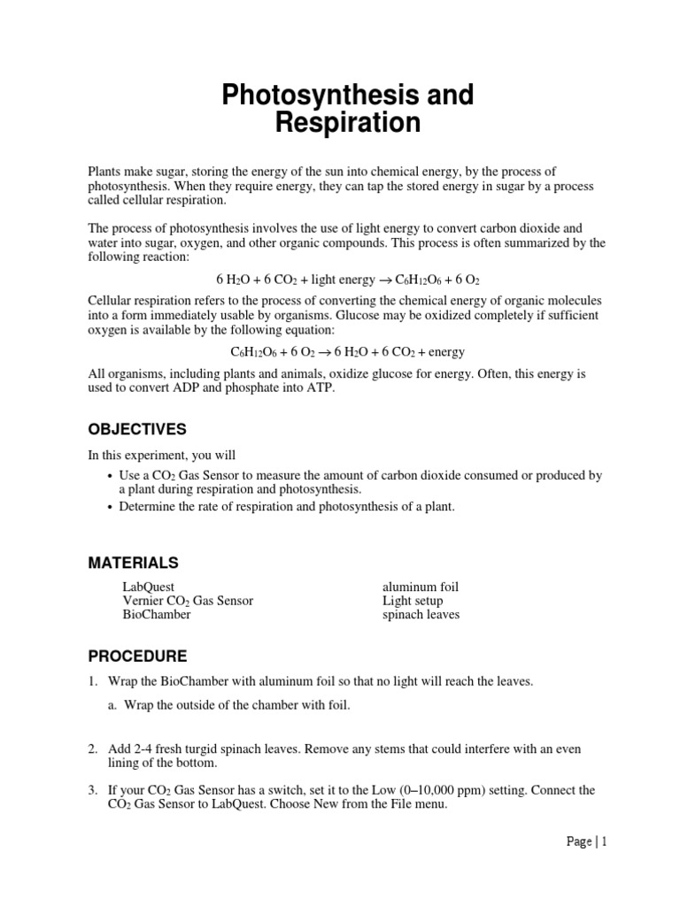 Photosynthesis and Respiration Lab Guide | PDF | Photosynthesis ...