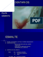 Tejidos Dentarios PDF