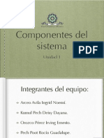 Componentes Del Sistema PDF