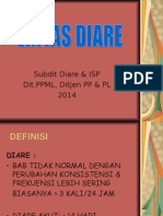 LINTAS DIARE 2013